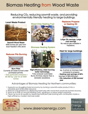 Biomass Flyer